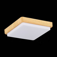 Потолочный светильник Taddio SLE200202-01 Evoluce