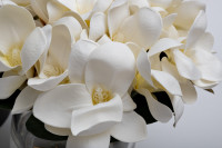 Диффузор ароматический Magnolia White