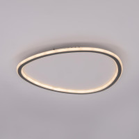 Потолочный светильник Тrio CL215B251E Citilux