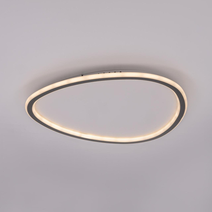 Потолочный светильник Тrio CL215B251E Citilux