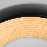 Потолочный светильник Folk 10255/350 Black Loft It Потолочный светильник Folk 10255/350 Black Loft It