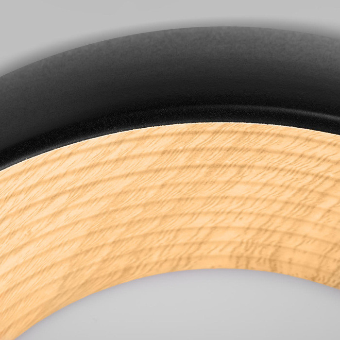 Потолочный светильник Folk 10255/350 Black Loft It