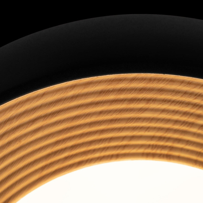 Потолочный светильник Folk 10255/350 Black Loft It