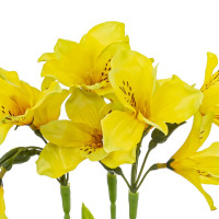 Цветочная композиция "Альстромерия", L17 W17 H31 см