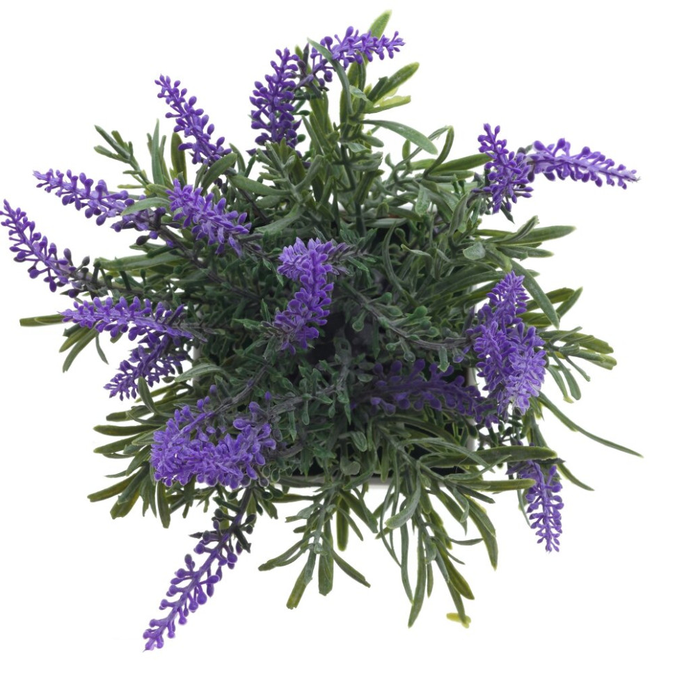Цветочная композиция "Лаванда", L8 W8 H21 см