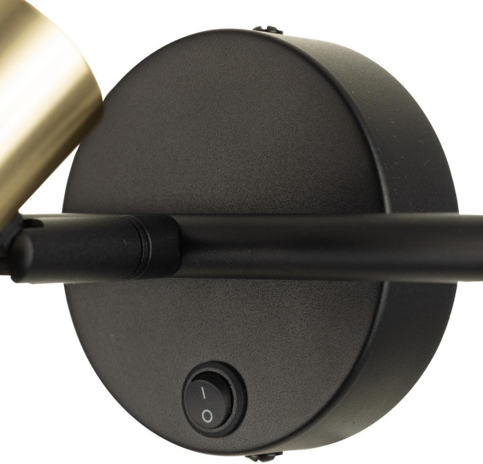 Спот Sat CL505631 Citilux