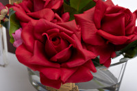 Диффузор ароматический Oval Red