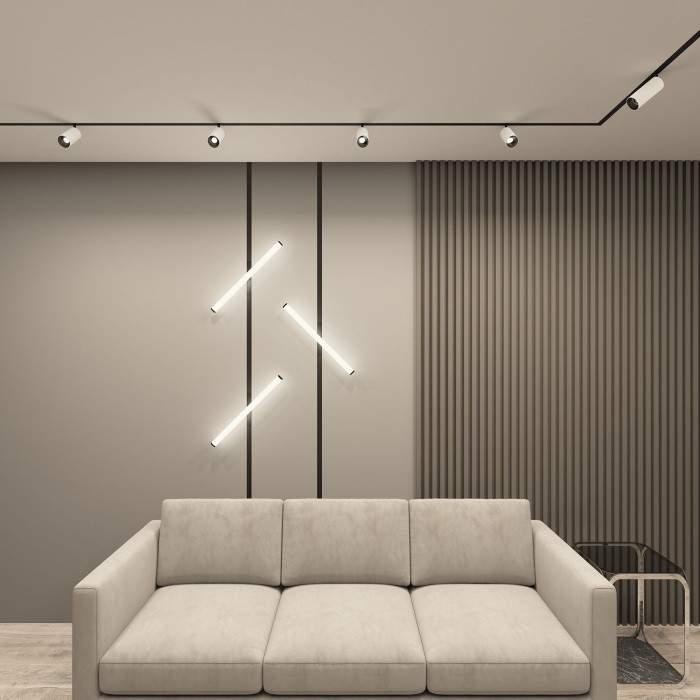 Трековый светильник SMART SPOT DK8041-BW+BK Denkirs