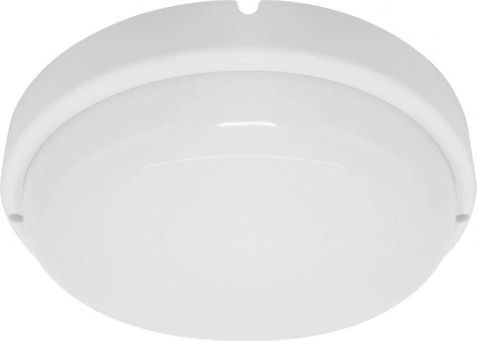 Потолочный светильник уличный 41342 Feron