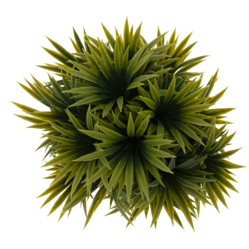 Цветочная композиция, L15 W15 H18 см