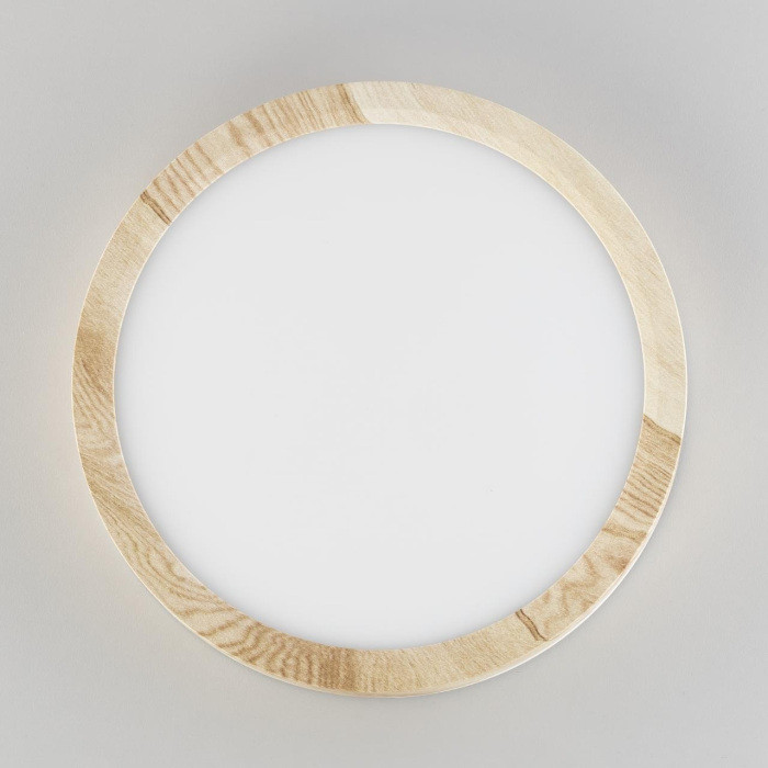 Настенно-потолочный светильник Бейсик CL738122N Citilux