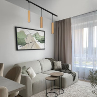 Трековый светильник 20001 20001TRP/01 BR Escada