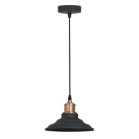Подвесной светильник Lido A5067SP-1BK Arte Lamp