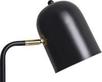 Интерьерная настольная лампа Unique FR5279TL-01B1 Freya