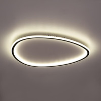 Потолочный светильник Тrio CL215B261E Citilux