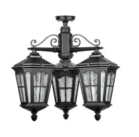 Потолочный светильник уличный ALBORG 79770A/3 02 Bl Oasis Light