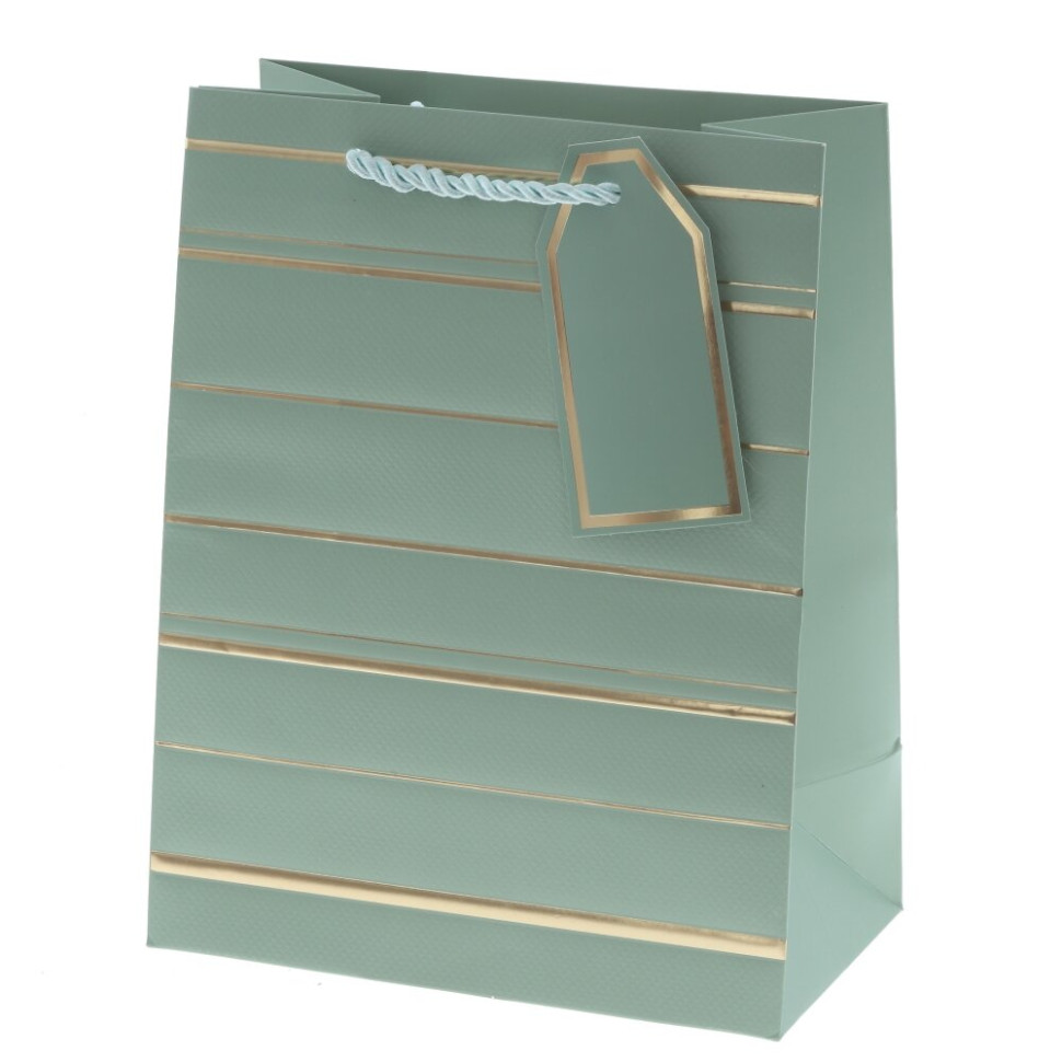 Пакет подарочный S (бумага 210г/м2, блок 12шт), L18 W10 H23 см, 10в.