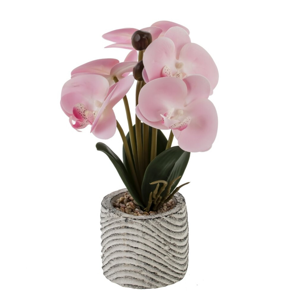 Цветочная композиция "Орхидея", L14 W12 H29 см