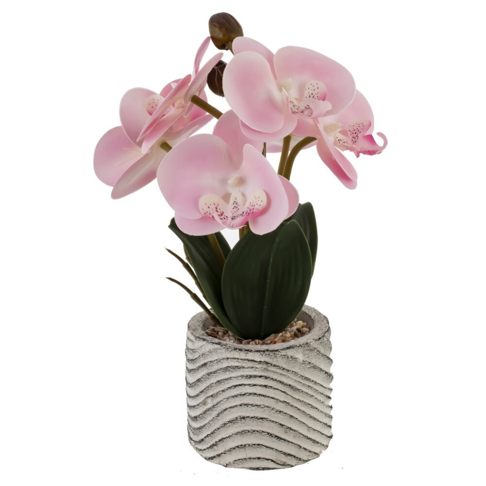 Цветочная композиция "Орхидея", L14 W12 H29 см