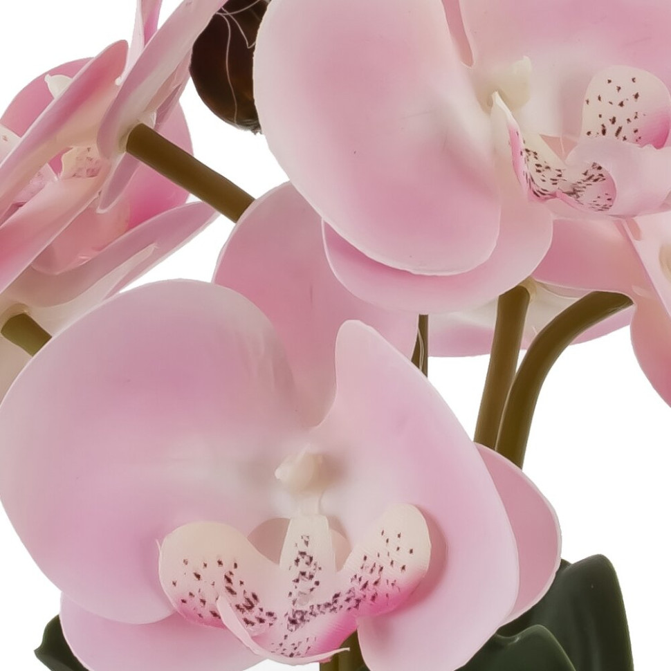 Цветочная композиция "Орхидея", L14 W12 H29 см