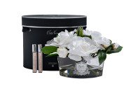 Диффузор ароматический Oval White