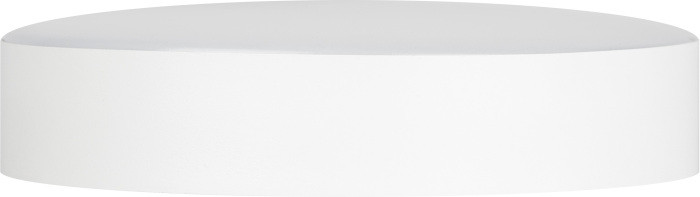 Потолочный светильник  Relict 22 SPB-6-20 4К WH ЭРА