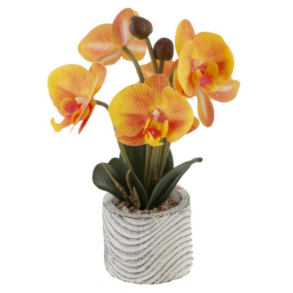 Цветочная композиция "Орхидея", L14 W13 H29 см