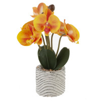 Цветочная композиция "Орхидея", L14 W13 H29 см