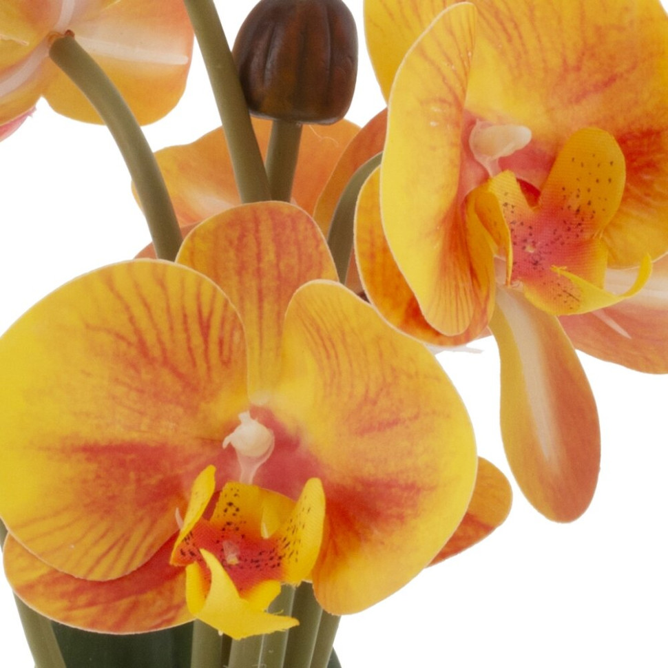 Цветочная композиция "Орхидея", L14 W13 H29 см