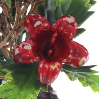 Цветочная композиция, L12 W12 H14 см