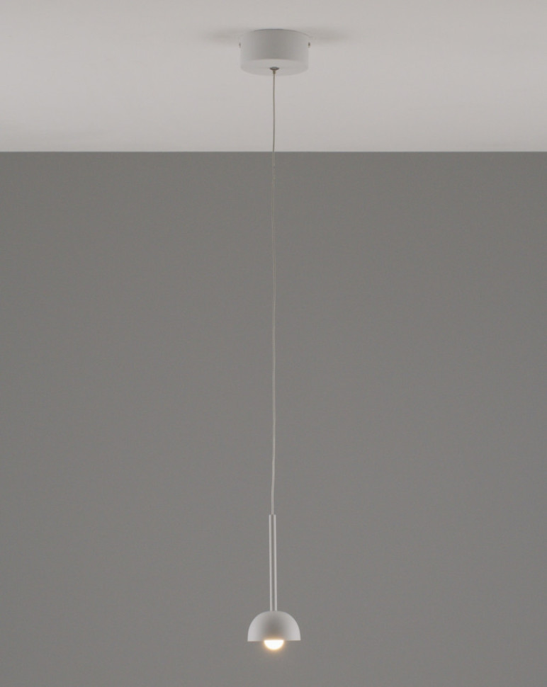 Подвесной светильник Fiona V10892-PL Moderli