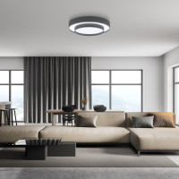 Потолочный светильник Force 90331/2 серый Eurosvet