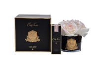 Диффузор ароматический Five Rose Ivory White