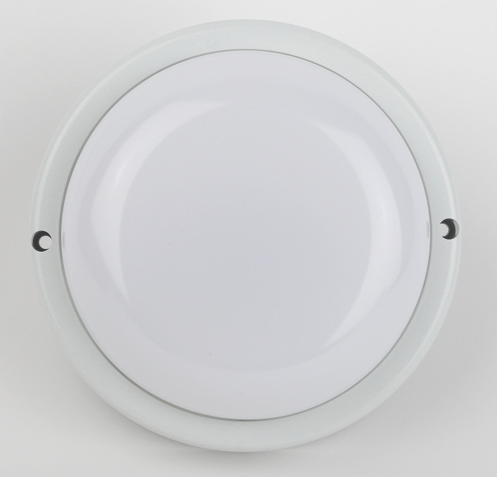 Настенно-потолочный светильник  SPB-201-2-40K-008 ЭРА