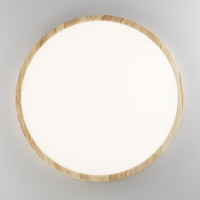 Настенно-потолочный светильник Бейсик CL738322V Citilux Настенно-потолочный светильник Бейсик CL738322V Citilux