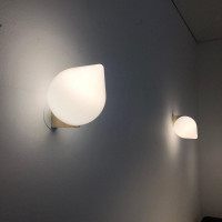 Настенный светильник Cento 9572W/1-D300 BR-WH iLamp