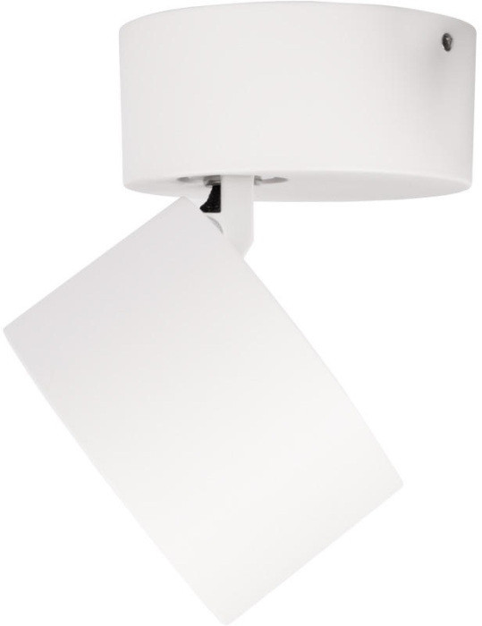 Спот Focus 10323/A White Loft It
