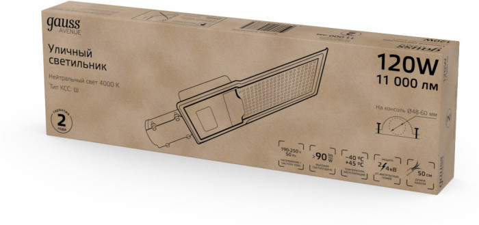 Уличный консольный светильник Avenue 629534220 Gauss