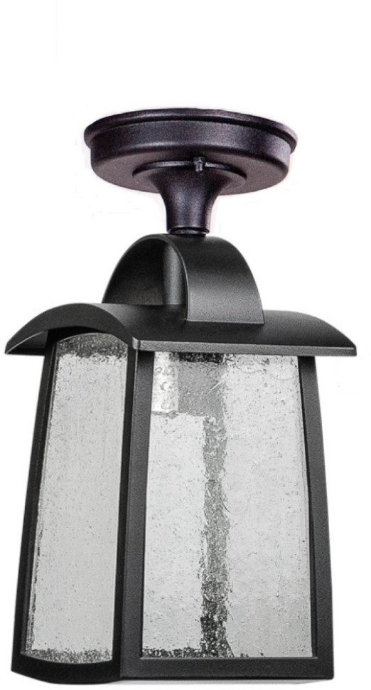 Потолочный светильник уличный FRANKFURT I 2736 05A Bl Oasis Light