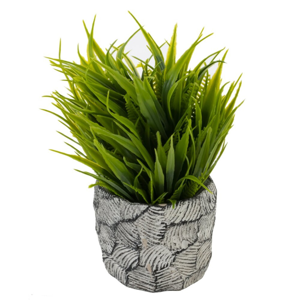 Цветочная композиция "Трава с папоротником", L12 W12 H17 см