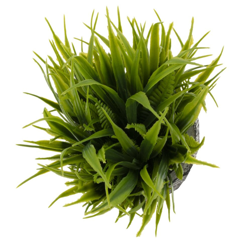 Цветочная композиция "Трава с папоротником", L12 W12 H17 см