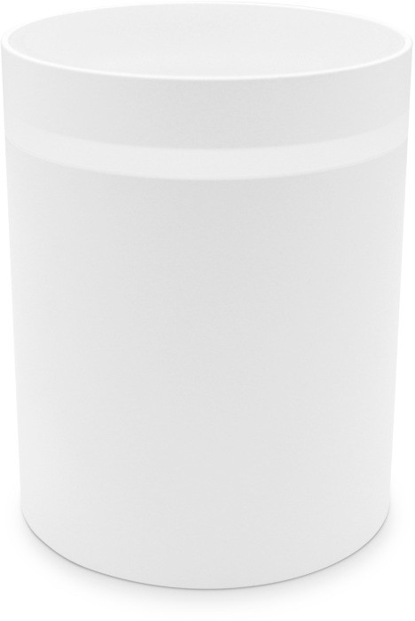 Точечный светильник TECHNO SPOT TN3202 Ambrella