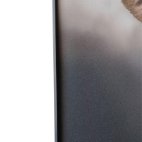 Картина Lumina Deco FP Elephant 50-70