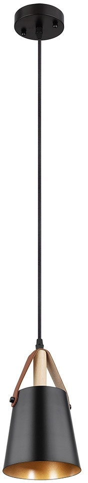 Подвесной светильник Thomas A7032SP-1BK Arte Lamp