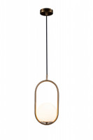 Подвесной светильник Glob LOFT2595-A Loft It