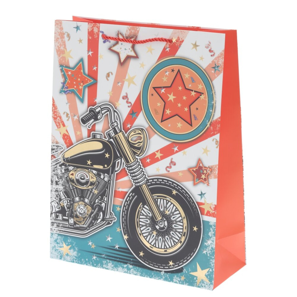 Пакет подарочный L (бумага 210г/м2, блок микс 12шт), L30 W12 H39 см, 4в.