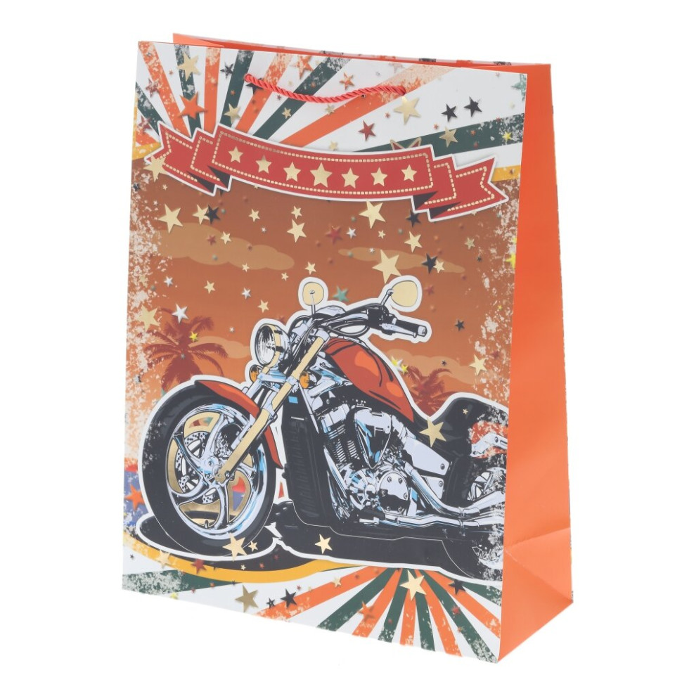 Пакет подарочный L (бумага 210г/м2, блок микс 12шт), L30 W12 H39 см, 4в.