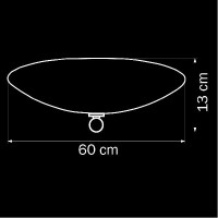 Потолочный светильник ZUCCHE 820860 Lightstar