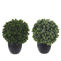 Цветочная композиция "Самшит", L19 W19 H27 см, 2в.