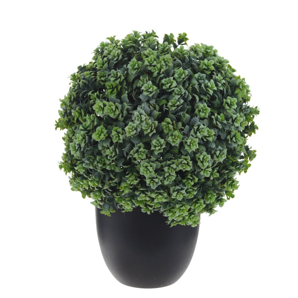 Цветочная композиция "Самшит", L19 W19 H27 см, 2в.